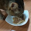 トッピングのみ完食