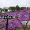 ひがしもこと芝桜公園