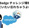 【Salesforceの基礎】“スーパーバッジ”チャレンジ環境の準備方法の備忘録