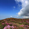 中岳登山