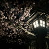 20210310日記