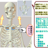 胸鎖関節の下にできるしこりがあるといろいろと不具合も感じられるの