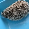 2回目の病院へ