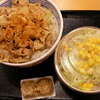 豚丼と野菜サラダ
