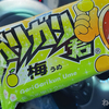 【普通の味覚不明】暑すぎるから買ったアイス「ガリガリ君 梅味」がめちゃくちゃ濃い！