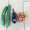 #8 夏野菜’19 キュウリが沢山採れます