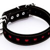 愛犬の首元を飾る！ペティオ ハーティ平首輪レビュー：安全性とデザイン性を徹底検証