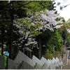 名神大社・恩智神社写真館(４/９）