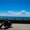 夏のはじまり