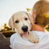 【初心者向け】犬に好かれる人・嫌われる人の特徴17選！