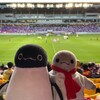 真夏のサッカー観戦！山陰本線で亀岡へGO(初夏の京都旅行その3)(454)