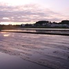 遊水地と田んぼの夕景＆今日の独り言