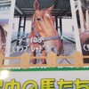 体験乗馬、行って来ました