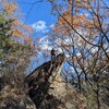 思い出の山