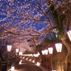 福井・加賀温泉２泊3日旅行ー1日目ー【芦原温泉駅・雄島・東尋坊・福井駅・丸岡城】