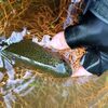 北海道　音更川釣行　20250705AM  /  納得するサイズが…　