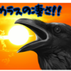 【カラスの凄さと雑学⁉】大人のカラスしか見ないのは何故か⁉驚くべき知能、生態とは⁉