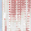 新型コロナウイルス、国別・人口あたり新規感染者数（7月21日現在） / List of COVID-19 cases per population by country, as of July 21