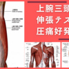 上腕三頭筋の伸張テストと圧痛好発部位