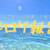 ブログを15日間書かなくなった結果は？アクセス報告とサボり癖を治したい
