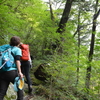 秋分の面河山遊山　山麓の道