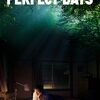 映画『PERFECT DAYS』（2023年）