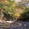 秋の北鈴鹿 茨川から茶屋川、藤原岳　2005.11.05