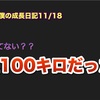 ノロマな僕の成長日記11/18