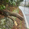 墓石の先祖代々春の雨(あ)