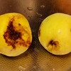 無農薬で無傷の黄桃は可能？
