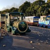 昭和記念公園でゆったり園内列車で景色を楽しみました(#^^#)