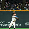 多田野数人最大の「功績」