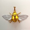 シュウキ・カトウ氏の「飛ぶカブトムシ」、挫折を経て生還（？）を果たす／"Flying Kabutomushi (Beetle)" designed by Shuki Kato