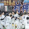 9回に逆転、侍ジャパンWBC決勝へ～ 頑張れ日本！