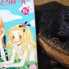 読書メモ：読了「ハチミツとクローバー６」(羽海野チカ)