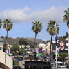 【ロサンゼルス】やっと晴れたぜ！ハリウッドサインも映えるね！