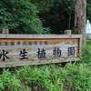 昼散歩　咲き始めの花しょうぶを見に 神代植物公園 水生植物園へ