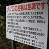 メジロ籠のこと