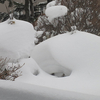 14, 01. 2014　雪・雪・雪