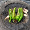 私的BBQ