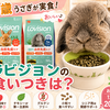 【ラビジョン口コミ】8歳のシニアうさぎが実食！食いつきや原材料をレビュー