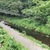 8月3日(日)秩父フライフィールドの河川情報