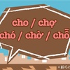 cho / chợ / chó / chờ / chỗ