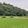 体力気力がもたない、これが60代ということ？