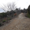 三室山（奈良県、三郷町）