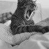 踏ん張りがあまり効かない