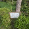 今週の三田・里山キャンパス（47）：学園東公園とアゲハチョウ