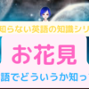 「お花見」は英語で何という？