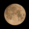 「中秋の名月」の撮影　2020年10月１日(機材：ミニボーグ50FL、E-PL5、ポラリエ)