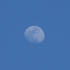昨日の月、今朝の空